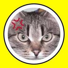 CapCut_angry cat filter