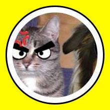Angry Anime Cat - Snap Lens Finder